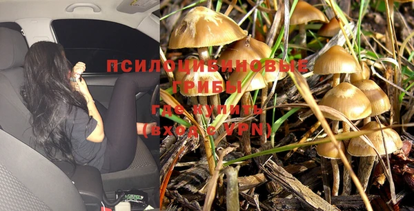 ALPHA PVP Володарск